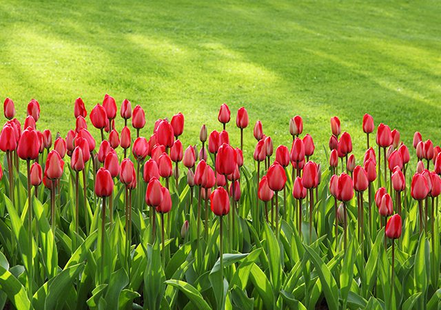 Projects Projects 08